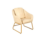 Modern Upholstered Lounge Chair with Metal Structure