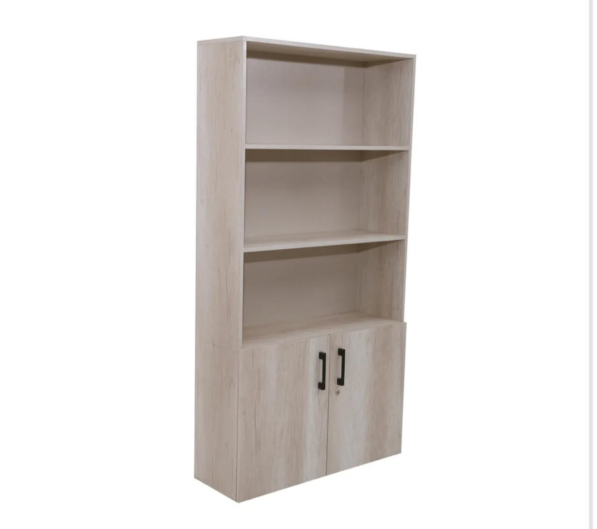 Modern Office Storage Cabinet with Shelves