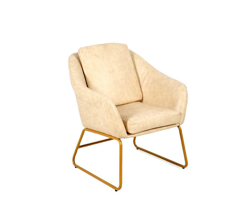 Modern Upholstered Lounge Chair with Metal Structure